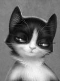 Avatar de l’utilisateur
